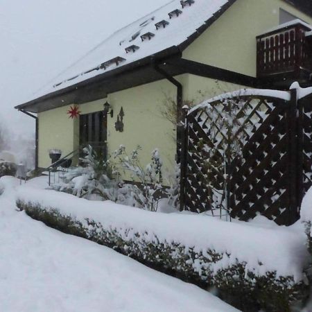 Fewo-Schmidt-Im-Erzgebirge Gelenau Eksteriør billede